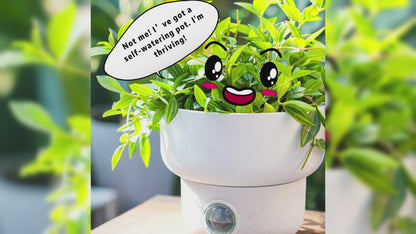 GreenShip Self-Watering Plant Pot Set of 2, Round Planter for Indoor Plants with Self Wicking Stand, Modern Decorative Flower Pots(Plants Not Included)