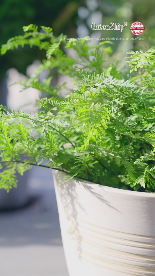 GreenShip Planter for Indoor Outdoor Plants,  Set of 2 Modern Decorative Plant Pots with Drainage Hole,  Decorative Flower Pots(Plants Not Included)